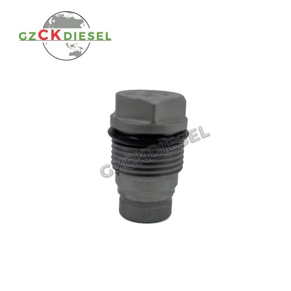 Fuel Pump Relief Valve Limiting Valve 1110010016 1110010017 1110010018 1110010024