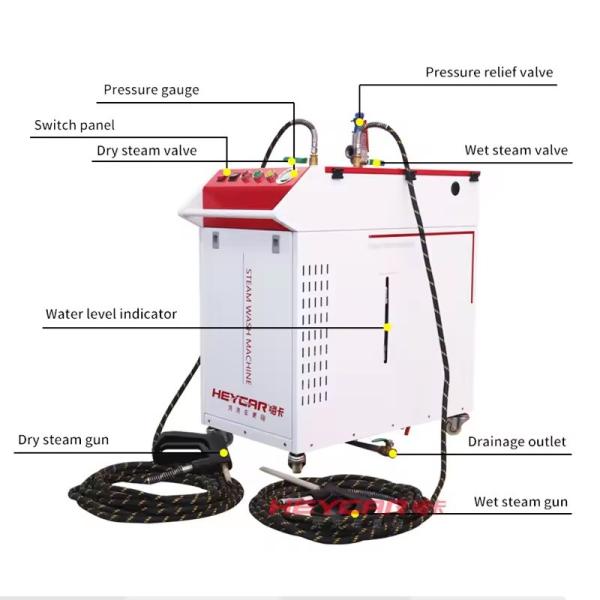 220v 380v Customized 16L Stainless Steel Tank Steam Carpet Cleaner Household Electric Steam Cleaner Sofa Cleaning Machine