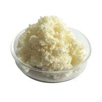 The mining industry employs thiourea resin ACD - 200 for the purpose of extracting precious metals.