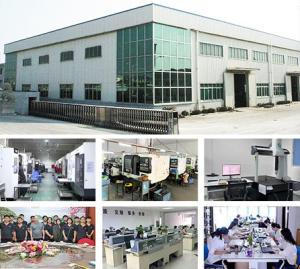 Huizhou City Yuan Wenyu Precision Parts Co., Ltd.