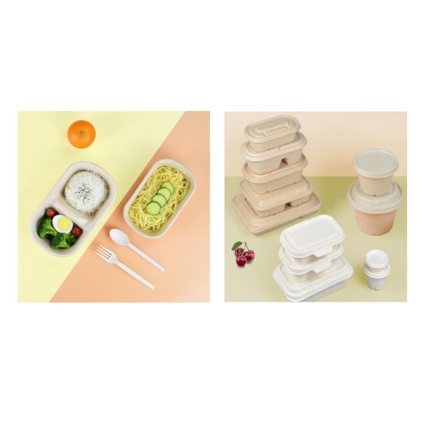 Disposable White Sugarcane Bagasse Food Trays 2 Compartment