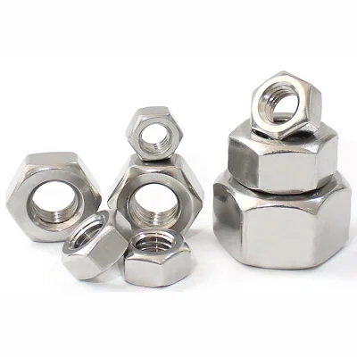 Metric Stainless Steel Hex Nut M16 M28 M30 M12 M26 M40 SS304 SS316 Hexagon Head Nut