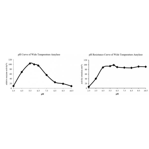 20000U White Alpha Amylase Powder Cas 9000 90 2 For Premix -Heat Stable Alpha Amylase