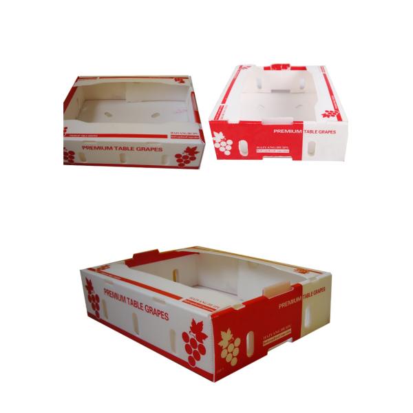 Customized Corflute Mango Corrugated Box Freshness Preservation