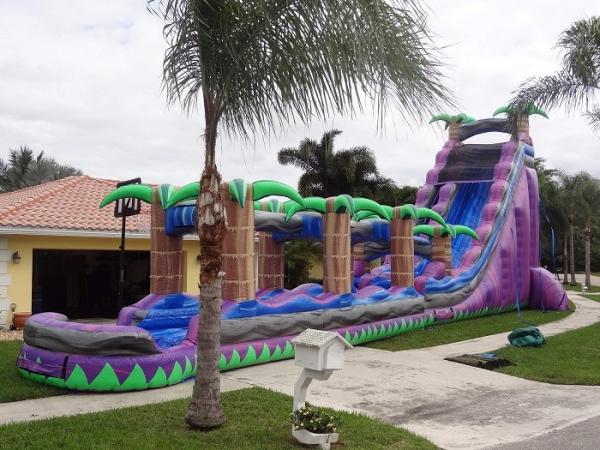 Purple Paradise Inflatable Water Slides With Pool / Adult Inflatable Wet Slide