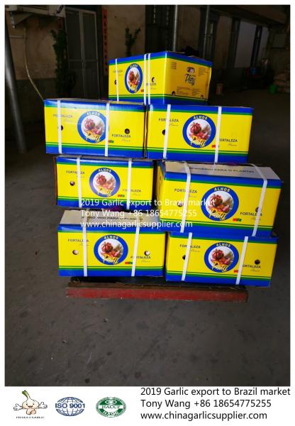 2019 Garlic to Brazil; normal white garlic with 10kg mesh bag.