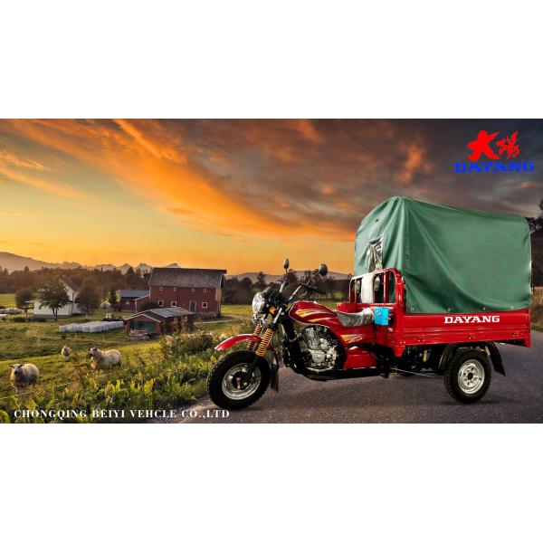 Cargo 250cc Powerful Durable Tricycle Petrol Tricycle with Cabin