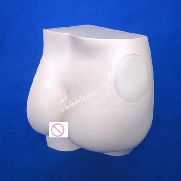 Clinical Nursing Training Simple Hip Injection Trainer IM Injection Teaching Model