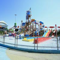 6 Lane Commercial Fiberglass Water Play Equipment Slide for Hill Plastic Water Slide for Water Theme Park