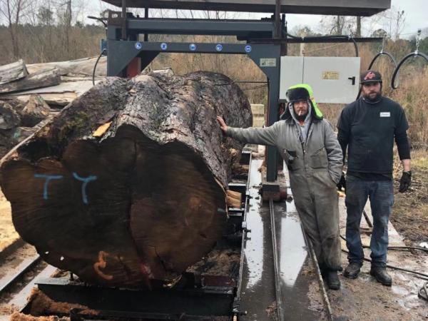 Máquinas de serração de madeira de grande diâmetro de 1500 mm Serradora de cadeia de grande escala