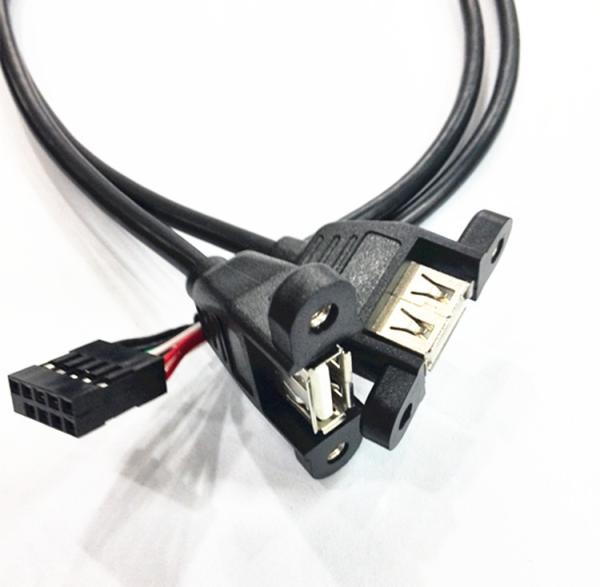 30cm Motherboard Internal 9pin Pitch 2.54mm to Dual Port USB 2.0 A Female Screw Lock Panel Mount Cable