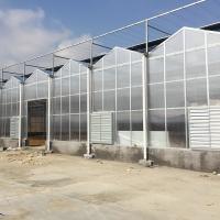 Resistente à neve Agricultura Policarbonato Alumínio Quadro PC Folha Estufas Para morango