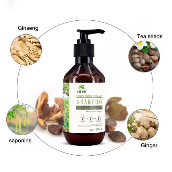 Oil Control Anti Dandruff Anti Itching Tea Tree Anti Hair Loss Shampoo 300ml