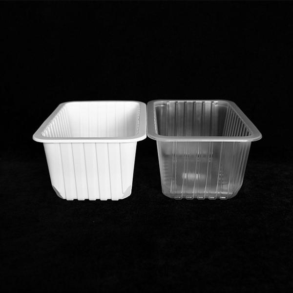 260 X 170 X 110MM Disposable Food Packaging Containers With Lids Disposable Food Boxes