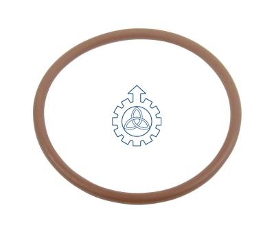  O-ring 500324249