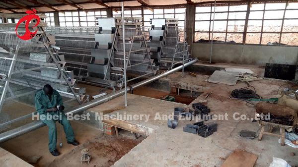 Оптовая стальная цена клетки батареи слоя Q235 в продолжительности жизни Mia Нигерии длинной