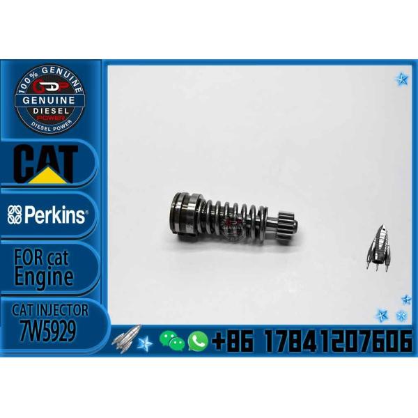 Diesel Fuel Injection Pump Plunger 1w6541 4p9830 9h5797 6n7527 Plunger Barrel 7W5929 Element for CAT 3304 3306 Diesel En