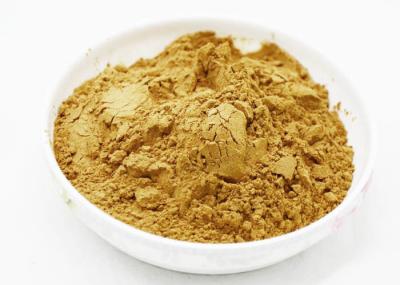 Health Broccoli Sprout Extract Powder , Broccoli Sprout Powder 1 - 6% Sulforaphan