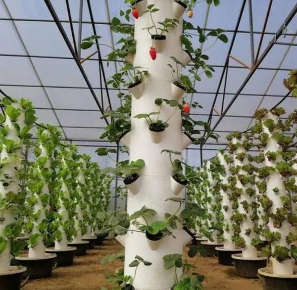 Shaped Roof Shipping Container Greenhouse with Hydroponic System within Your Budget