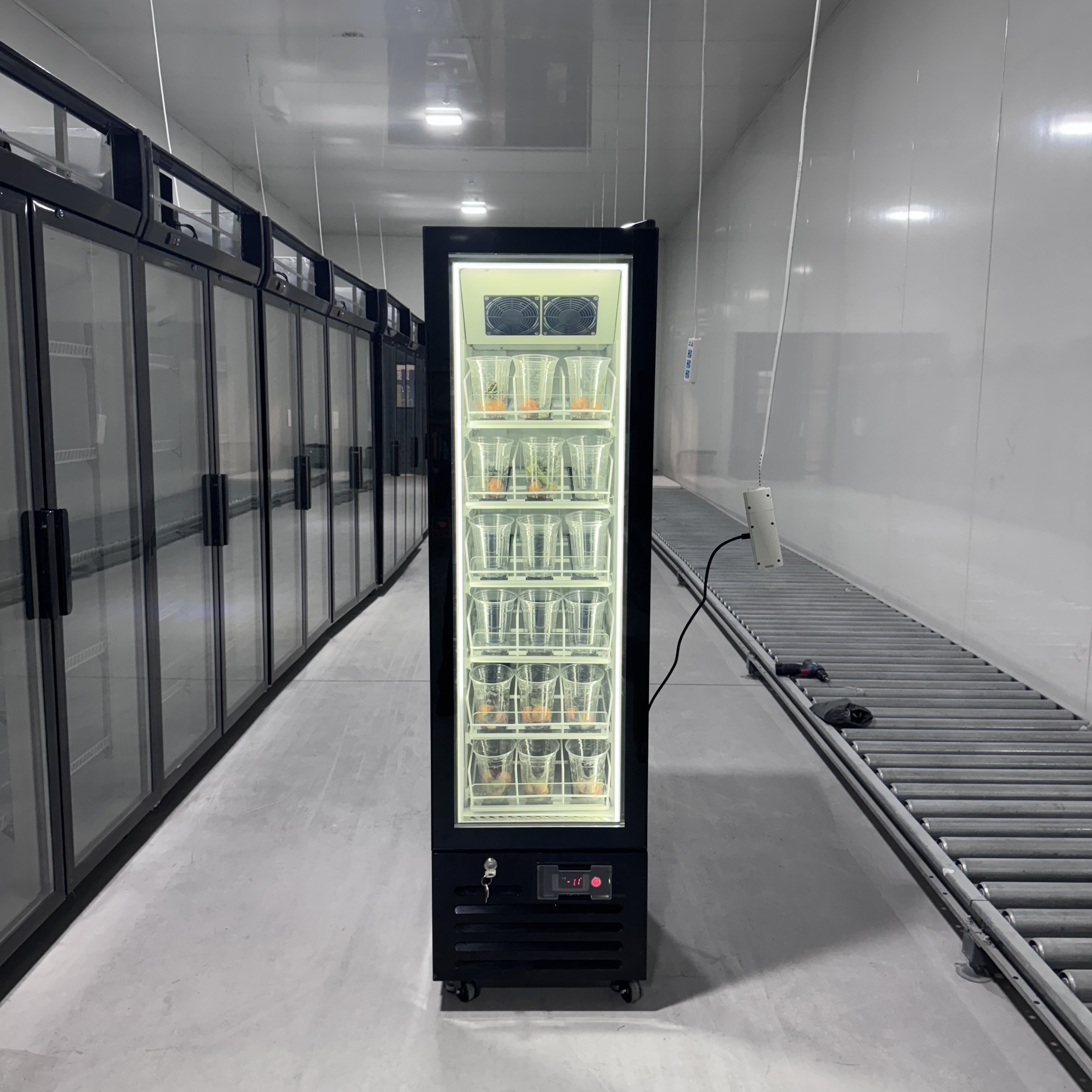 Commercial Glass Door Freezer with R290a Refrigerant, 180 L Capacity, and High-Visibility Glass Display