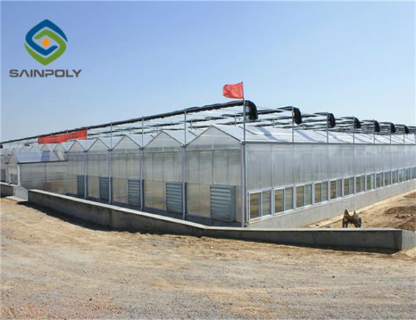Flower Glass Multi Span Greenhouse XS - GL9600 / 12000 Venlo Large Green Houses
