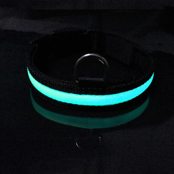 Eco - Friendly LED Dog Collar Rechargeable Three Flash Mode Nylon