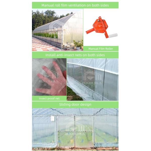 10x50m Polytunnel Berry Poly High Tunnel Greenhouse Film Tunnel Greenhouse Kit