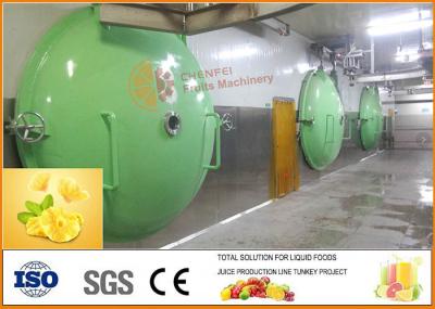 SS304 Turnkey Pineapple Processing Machinery CFM-PL-03-22T CE Certification