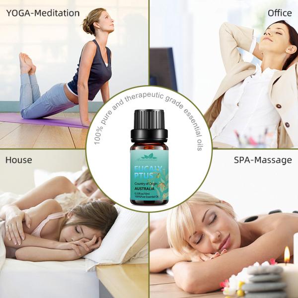Natural 100% Pure Eucalyptus Essential Oil Aromatherapy 100ml OEM FDA