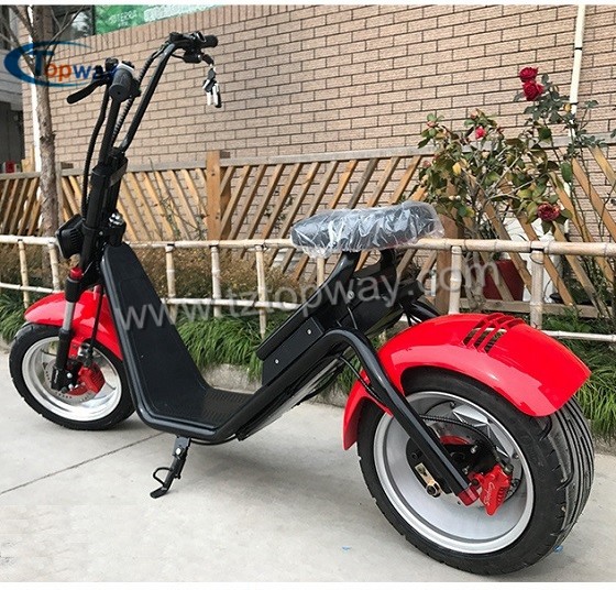 High Quality Halley 1500w Citycoco Scooter Electric Motorcycle