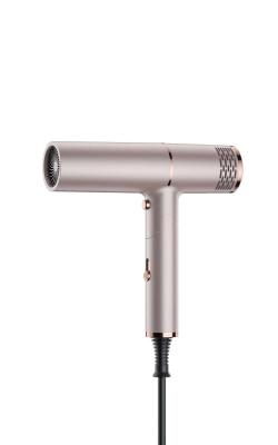 Secador de cabelo de pouco peso Constant Temperature Without Damaging Hair do estojo compacto dobrável do punho
