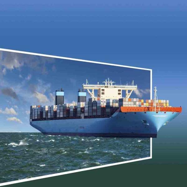 Door To Door Shipping From Sea Freight Service for Professional Buyers