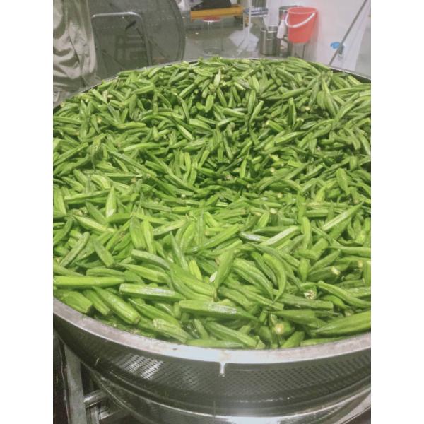 Vacuum Commercial Potato Chip Fryer / Snacks Frying Machine Energy Saving