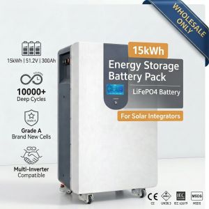 15kWh 51.2V LiFePO4 Lithium Battery Energy Storage System with 10000 Cycles for Solar Installers