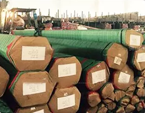 309s Stainless Ss Steel Pipes ERW Seamless 6mm Tubes