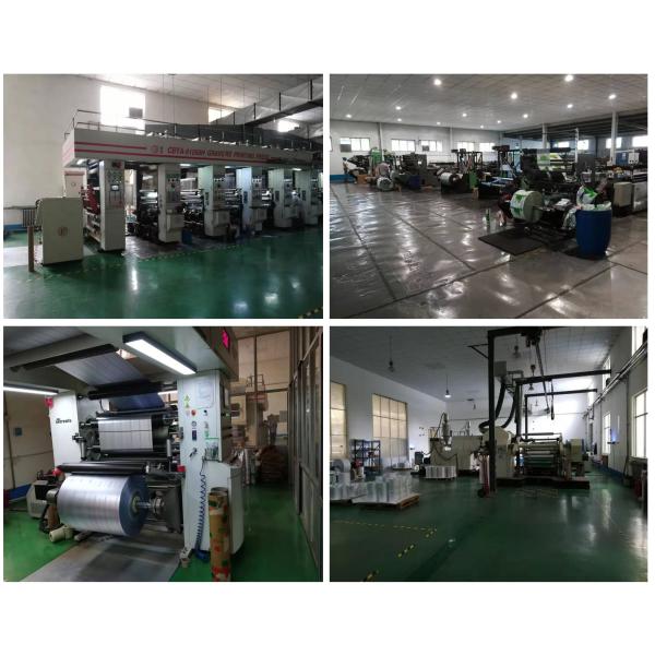 Eco Friendly Chips Snack Heat Seal Pouch with Gravure Printing and Sealing Handle