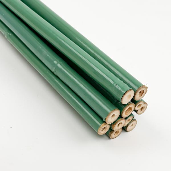Green Plastic Coated Bamboo Plant Stakes for Tomato , Plant and Garden