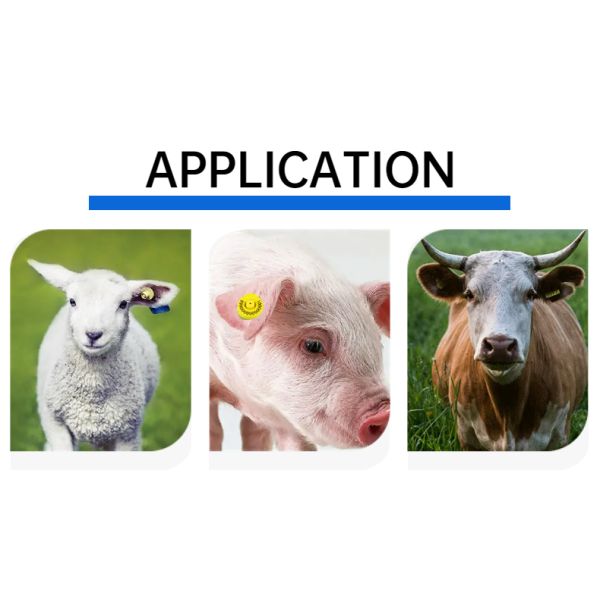 FULL ICAR Certified TPU Plastic RFID Ear Tag New Condition Crotales for Animals Top Farm Equipment Supplier From China