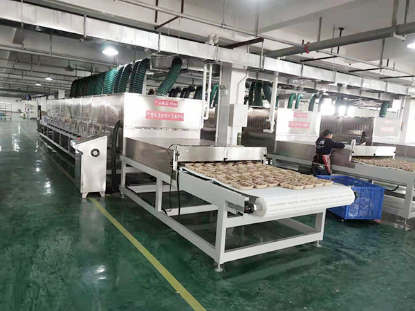 Industrial Microwave Drying System | High-Efficiency Moisture Removal for Powders & Granules