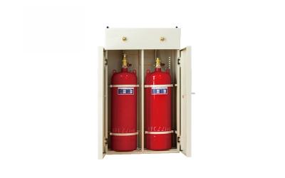 Dual-Cabinet FM-200 Fire Extinguishing System