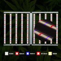 ANDY 4x6 pieds 1000W Lampe de croissance végétale à spectre complet LED Horticulture Hydroponique Dimmable LM301H EVO LM281B pour légumes d'intérieur
