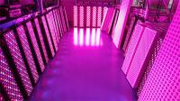 Panel de terapia de luz roja de cuerpo entero de alta potencia de 1000W con rango de frecuencia de 50Hz-60Hz y ángulo de haz de 60°