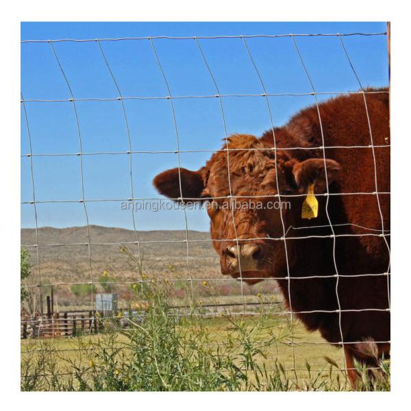Galvanized 5-8 ft Fixed Knot Deer Cattle Fence for Farm Field Protection Square Design
