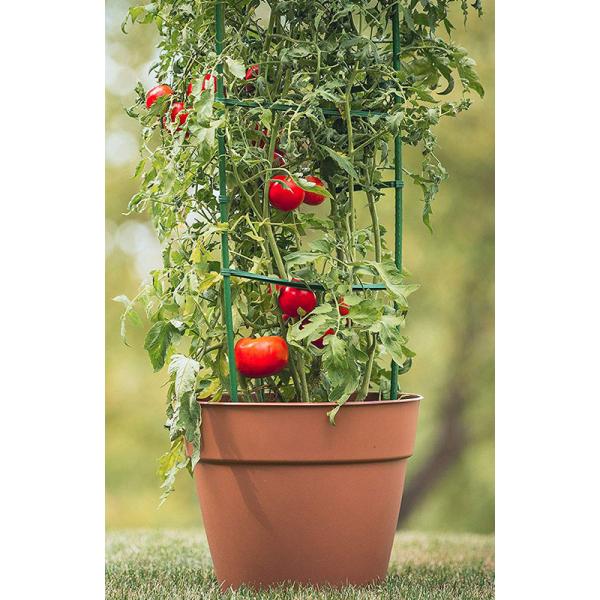 3 Stick 120cm 16mm Adjustable Potted Metal Garden Plant Stakes