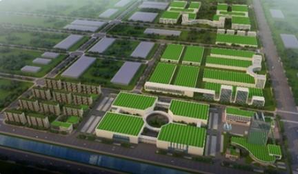 Consolidation International Warehousing Services Warehousing And Logistics Services