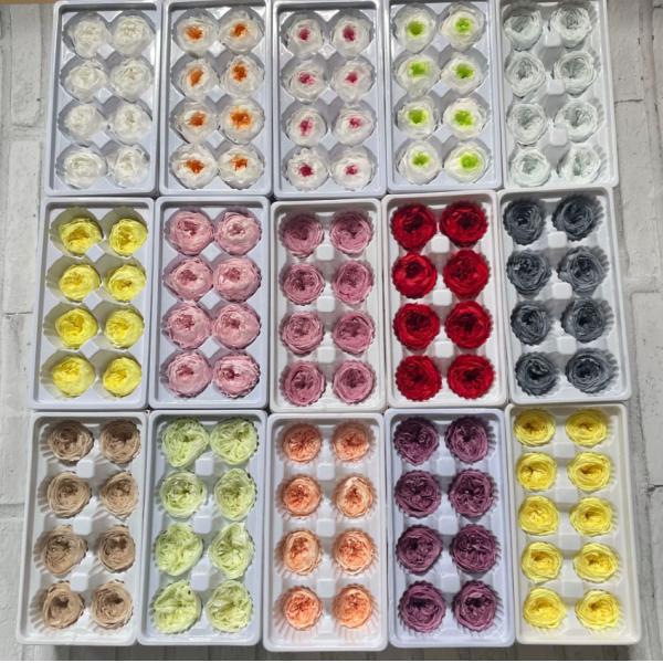 Eternal Rose Austin 8 pièces, cadeau haut de gamme matériaux de bricolage, fleurs séchées en gros, bulles de chocolat