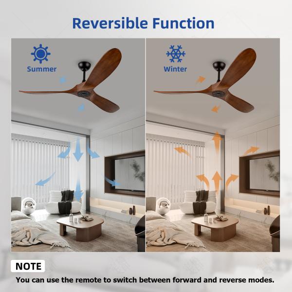 Manufacturer 3 Blades Modern LED Ceiling Fans 60 Inch Outdoor Indoor Ceiling Fan Without Light