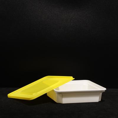 Caixa de almoço descartável à prova de vazamento / Caixa de embalagem de alimentos personalizada em material plástico duro de PP