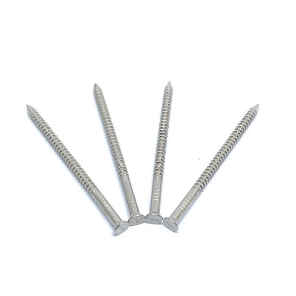 Clous annulaires plats d'acier inoxydable de tête avec Ring Shank For Decks And extérieur