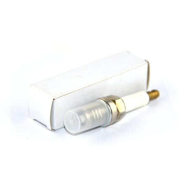 436782 свечи зажигания факела R9B12-77 для генератора GS 620